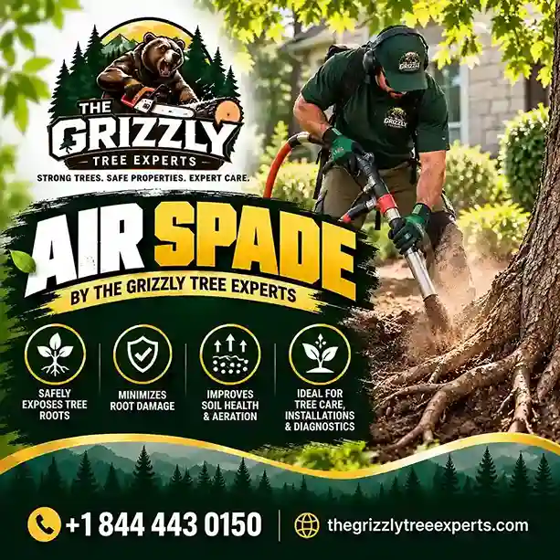 Air Spade Service