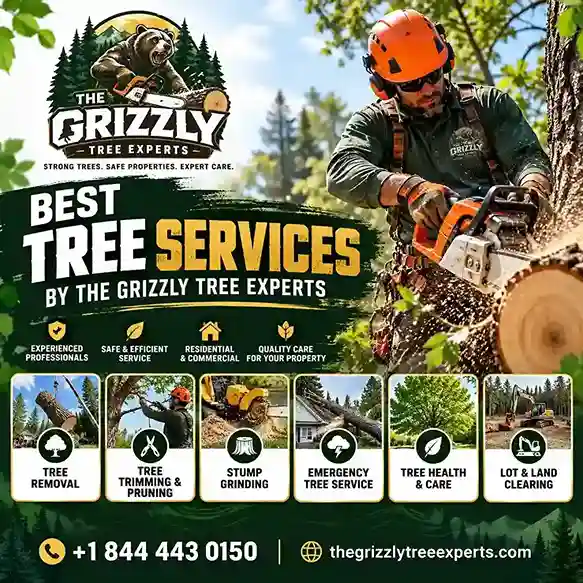 Best Tree Services