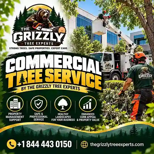 Commercial Tree Service