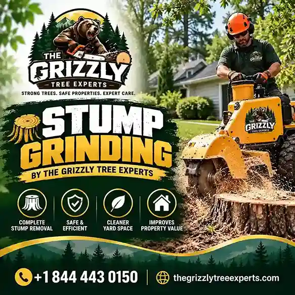 Stump Grinding
