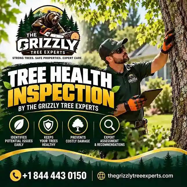 Tree Health Inspection