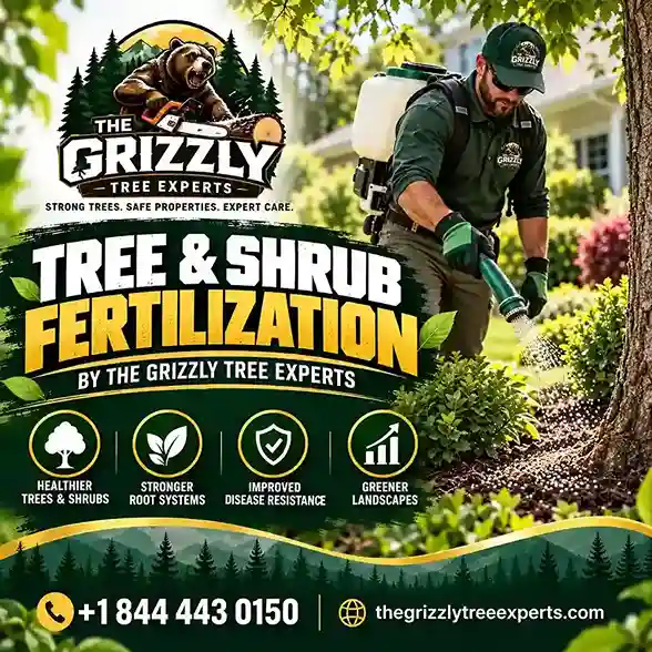 Tree and Shrub Fertilization