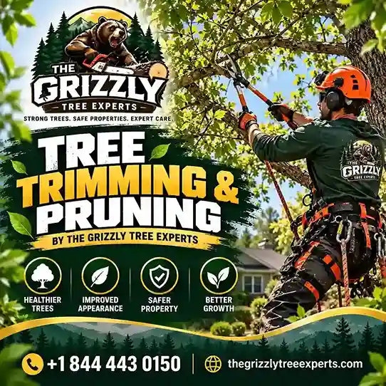 Tree Trimming and Pruning